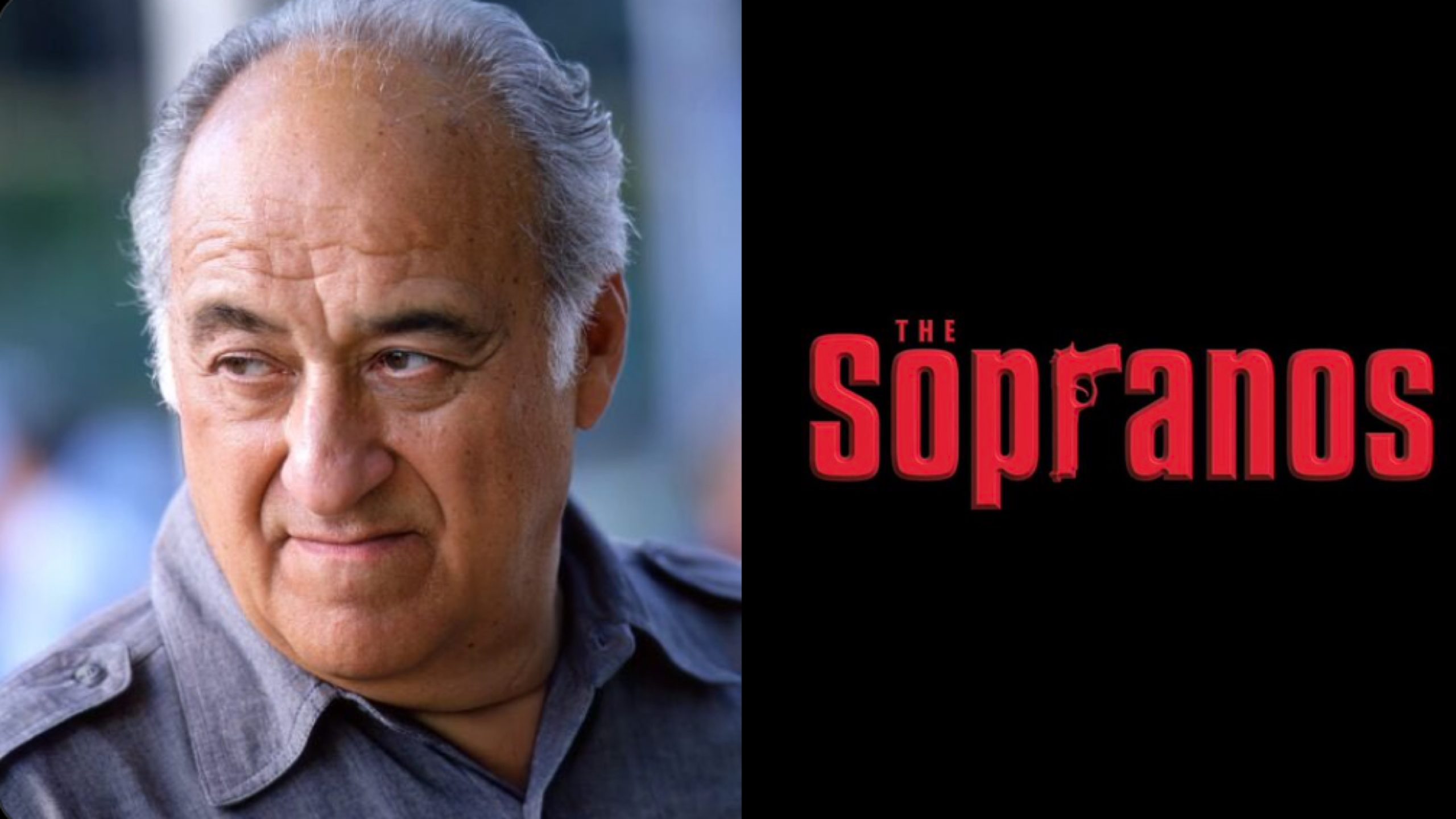 Jerry Adler, Sopranos and Good Wife Actor, Dies at 96