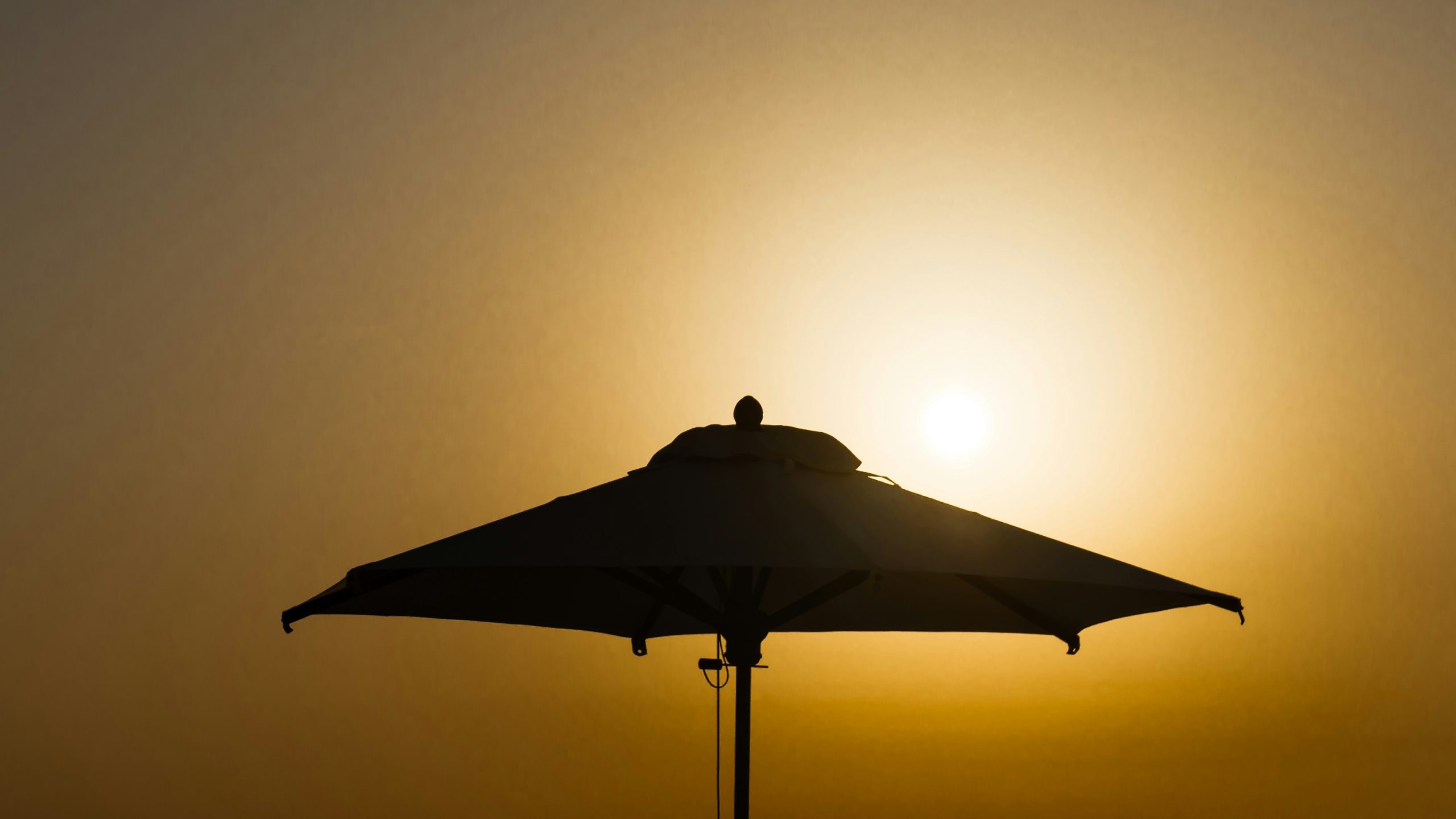 Heatwave Tripled Death Toll to 2,300 Across Europe