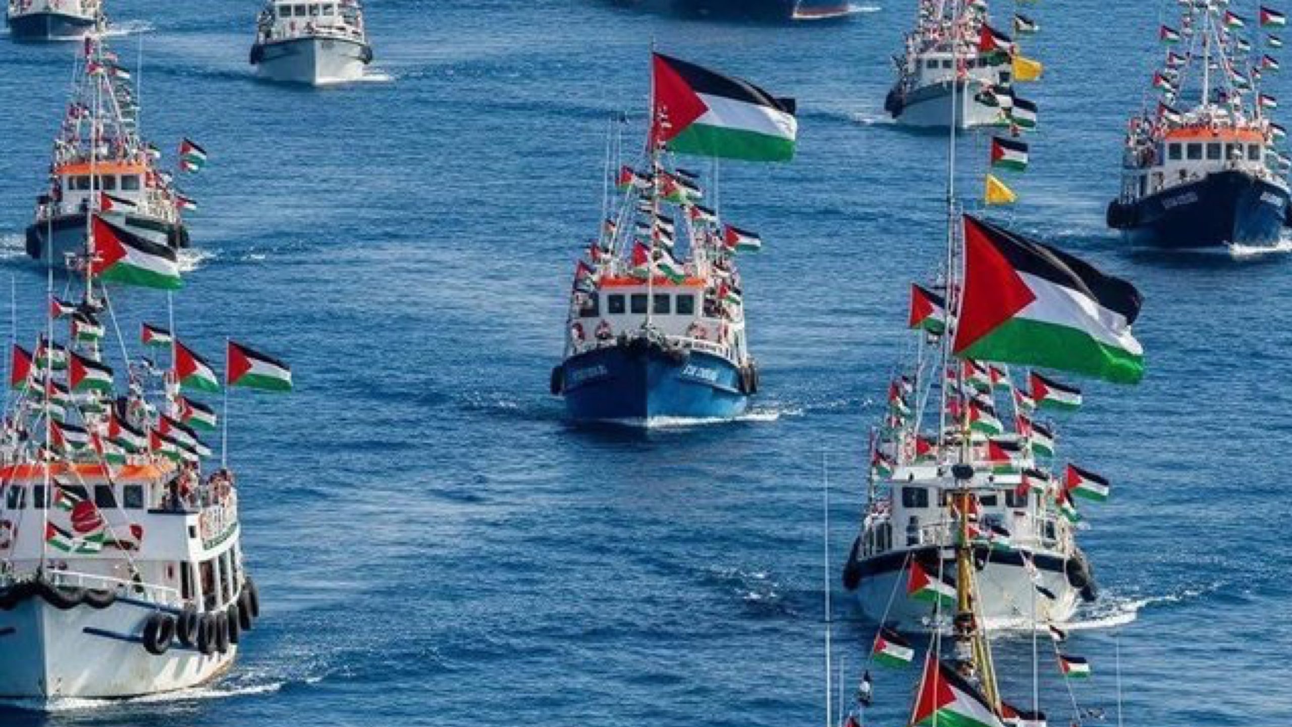 SA Gaza Flotilla Activists Cleared to Return Home
