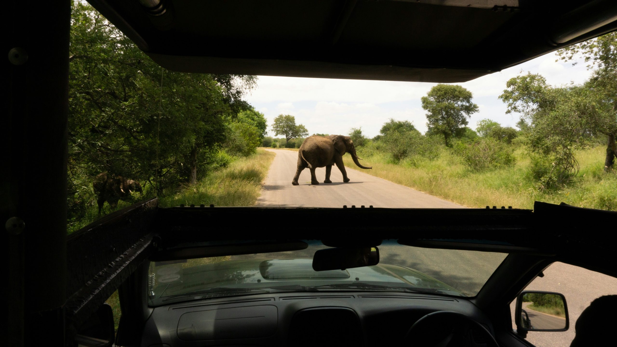 Kruger National Park Renaming Backed by Mpumalanga