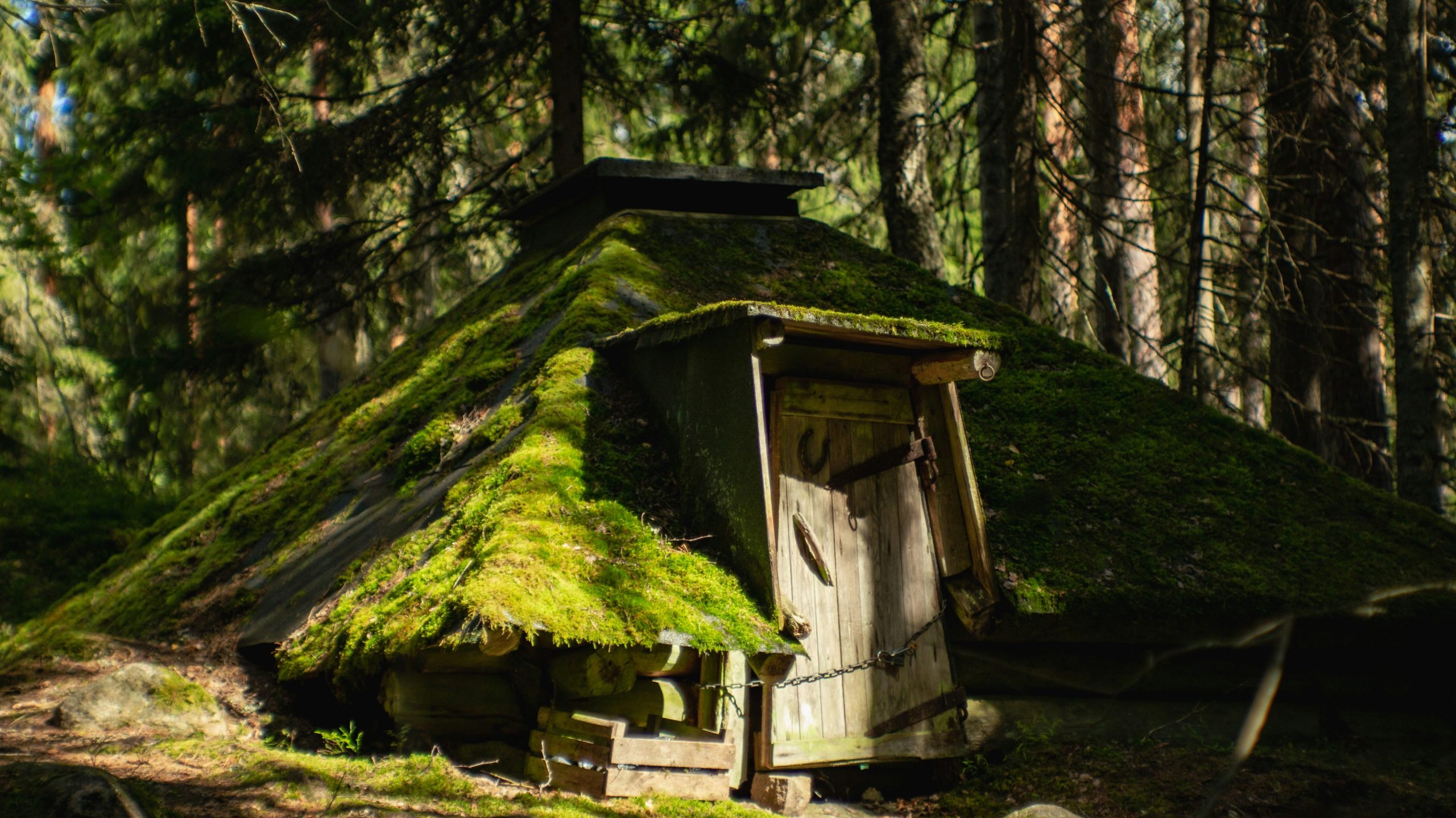 Shrek 5 Release Date Delayed to 2027