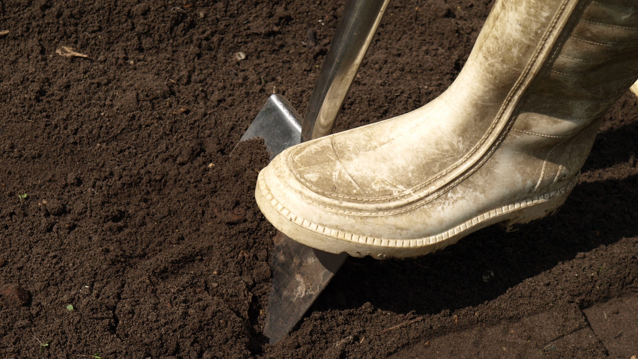 North West Shovel Murder Shocks Mahikeng